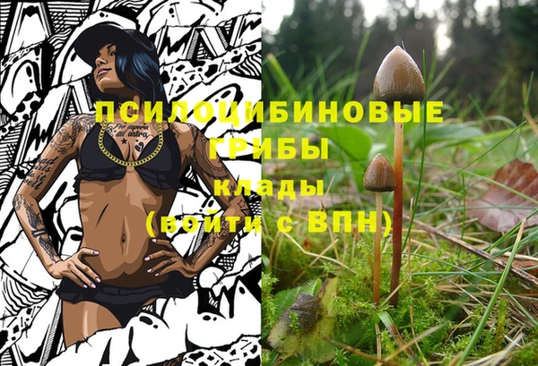 амфетамин Арсеньев