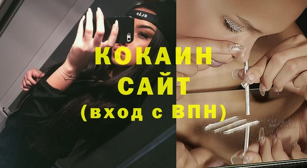 мяу мяу мука Аркадак